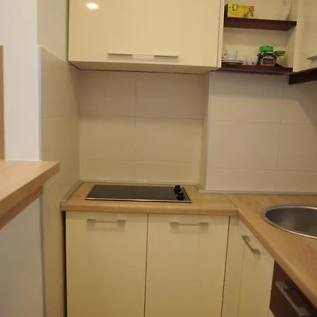 Maximus Lux Apartment *